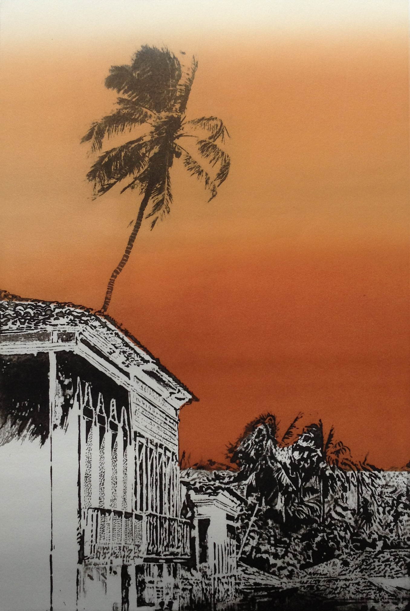 Maranhão - Palmeira Solitária - Alcântara